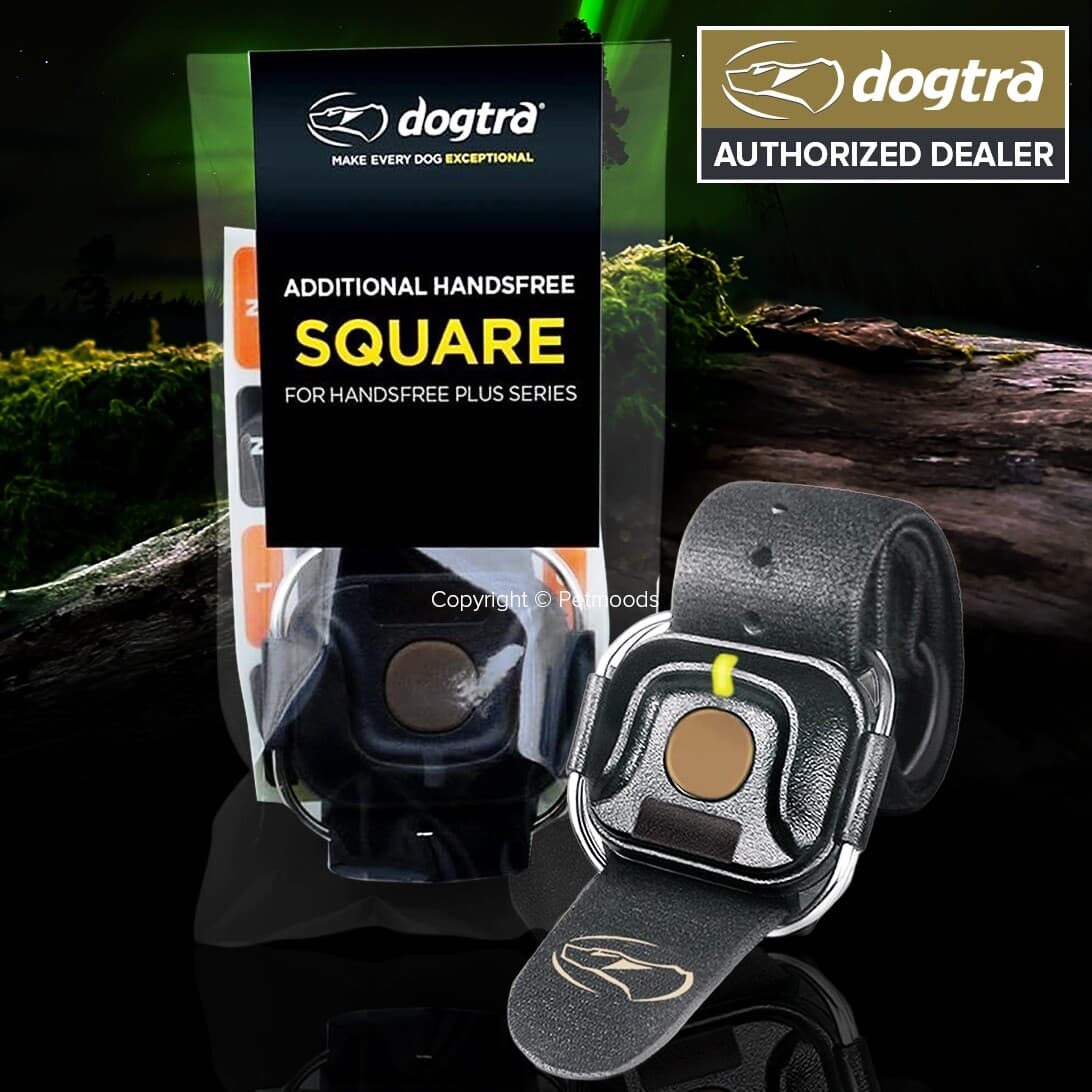 Dogtra HANDSFREE Square Remote Dog Training Expandable Device 1900x Series, 280x