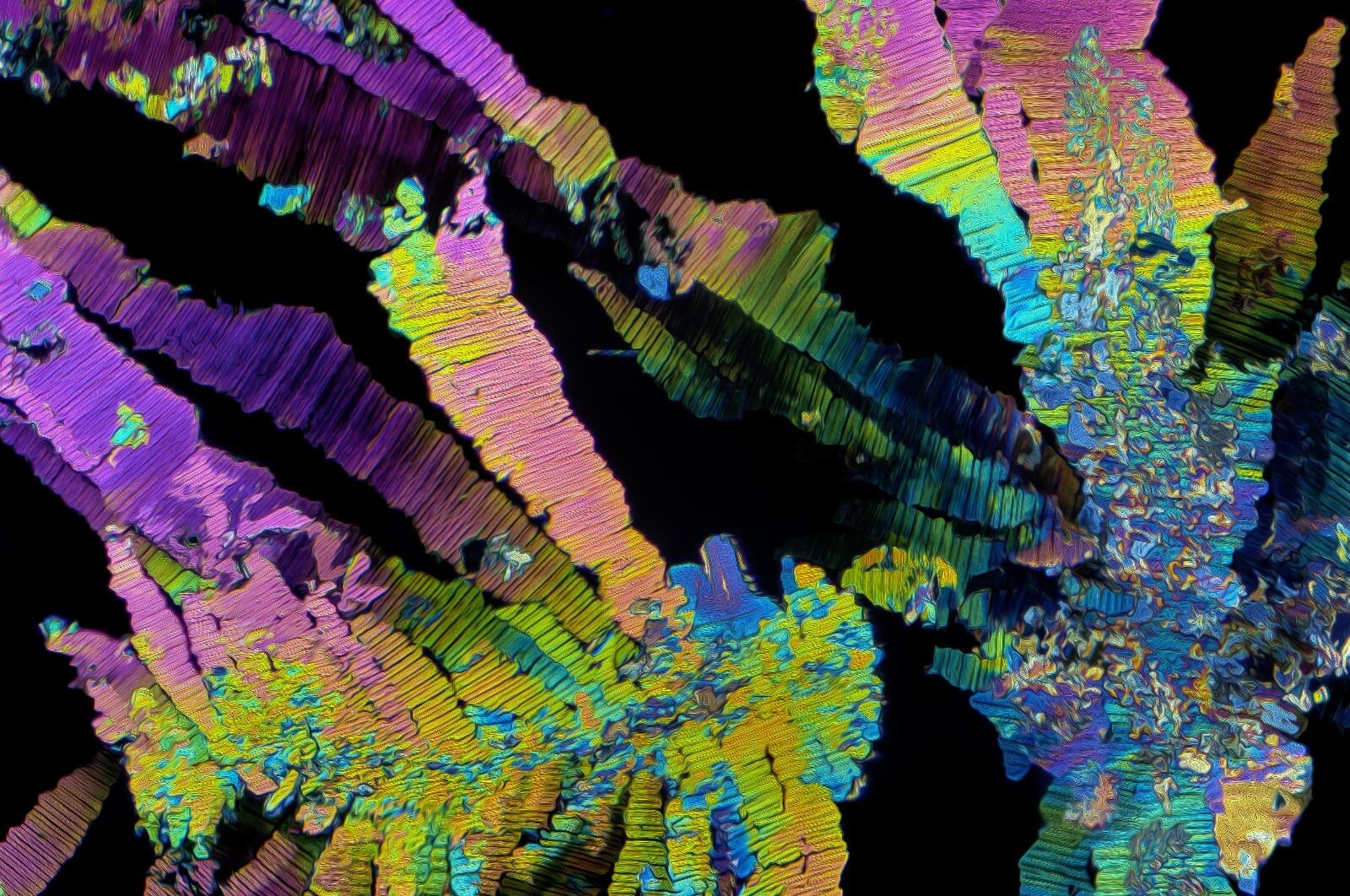 Microscope slide for polarization, THEOBROMINE