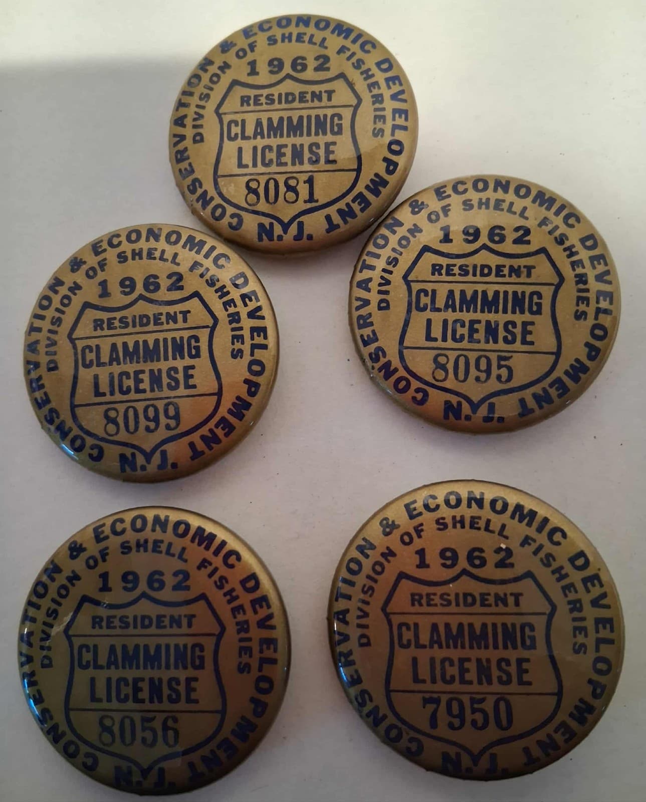 (5) 1962 NJ Resident Clamming License Badge Pin Division Of Shell Fisheries Fish