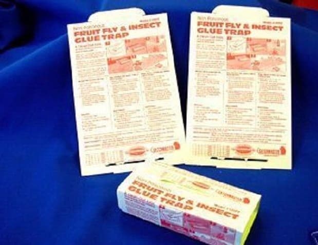 100 Catchmaster Fruit Fly Insect Glue Traps 100FF