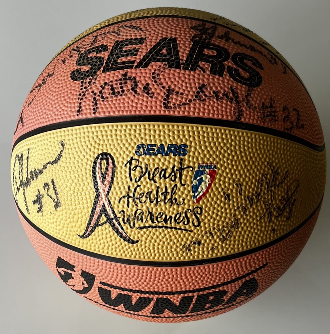 WNBA Basketball Signed Autographed Basketball - 15 Autographs - Sears Spalding