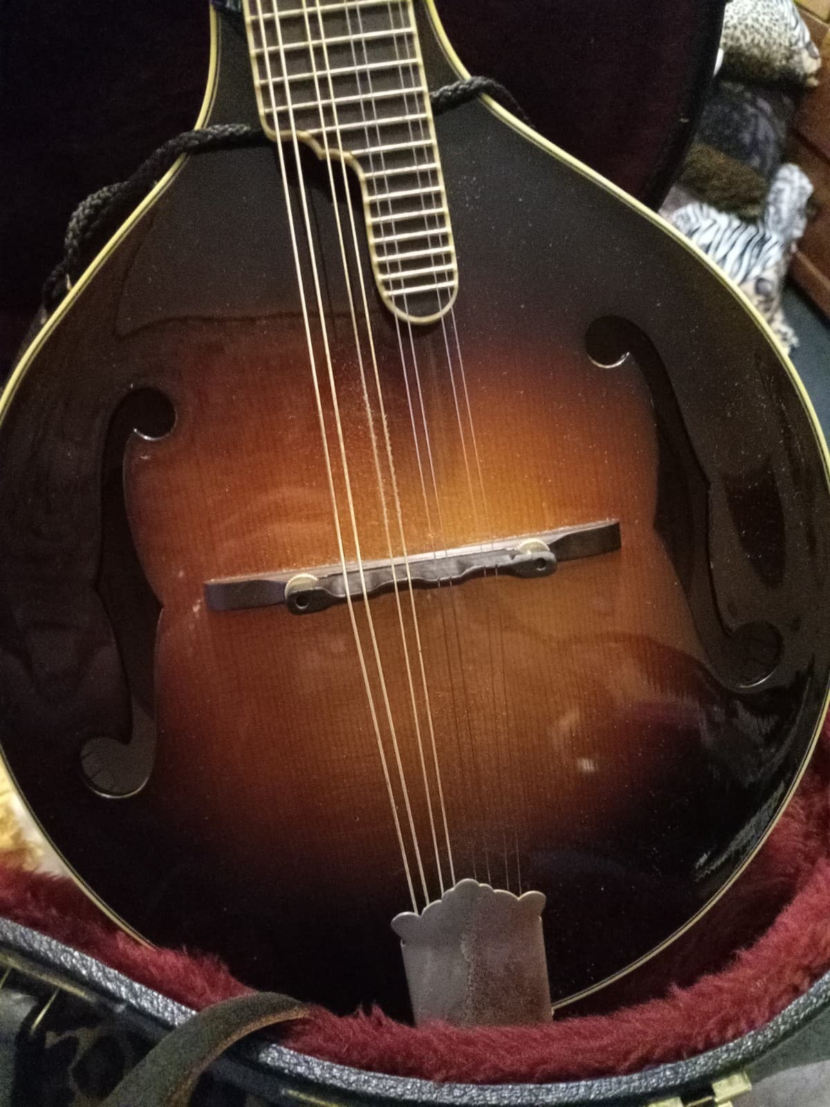 THE GIBSON MASTER MODEL A-5L MANDOLIN WITH HARD SHELL CASE