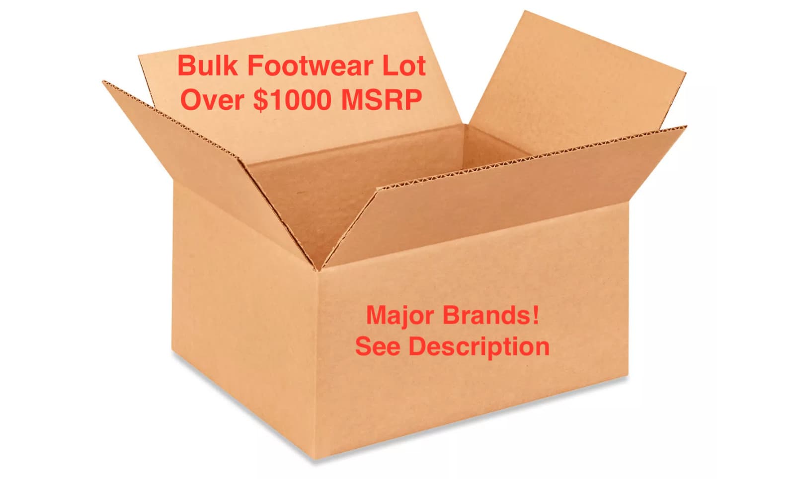 $1,000+ Bulk Wholesale Footwear Lot Boots, Shoes, Sandals - Designer Brand Names
