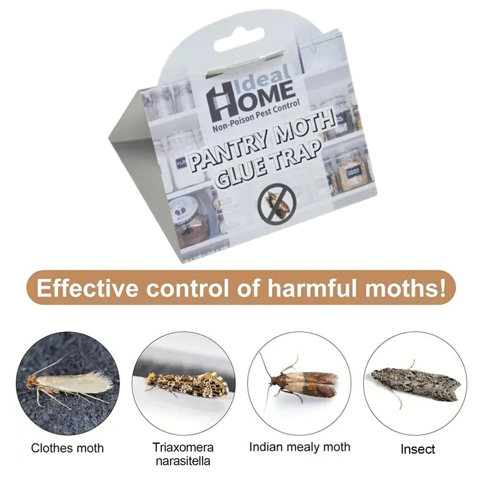 6PCS Moth Traps Clothes And Pantry Moth Traps Sticky Ecofriendly Safe Fly Catche
