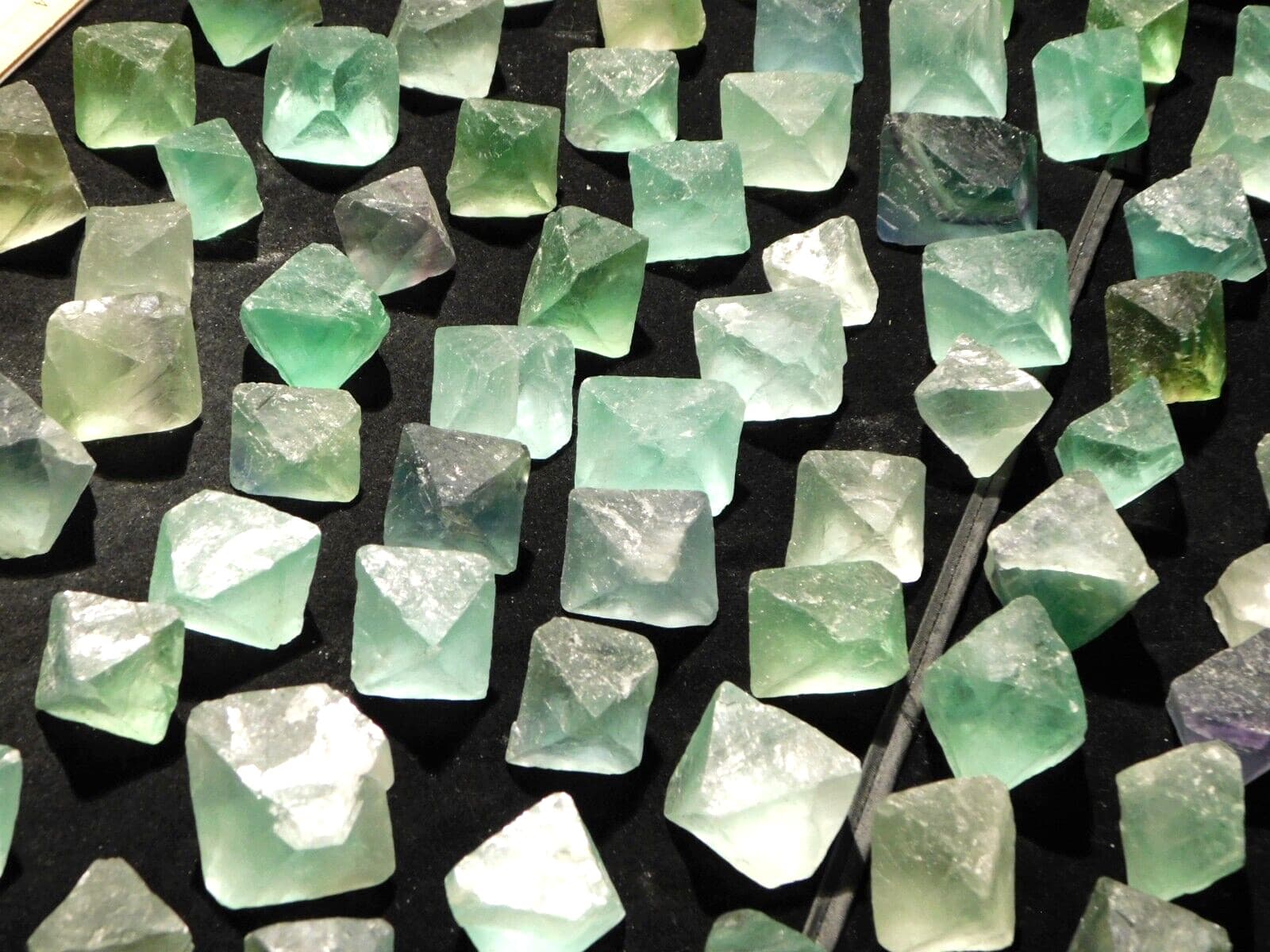 Over One Pound! or 500 Grams! Fluorescent FLUORITE Octahedron Crystals