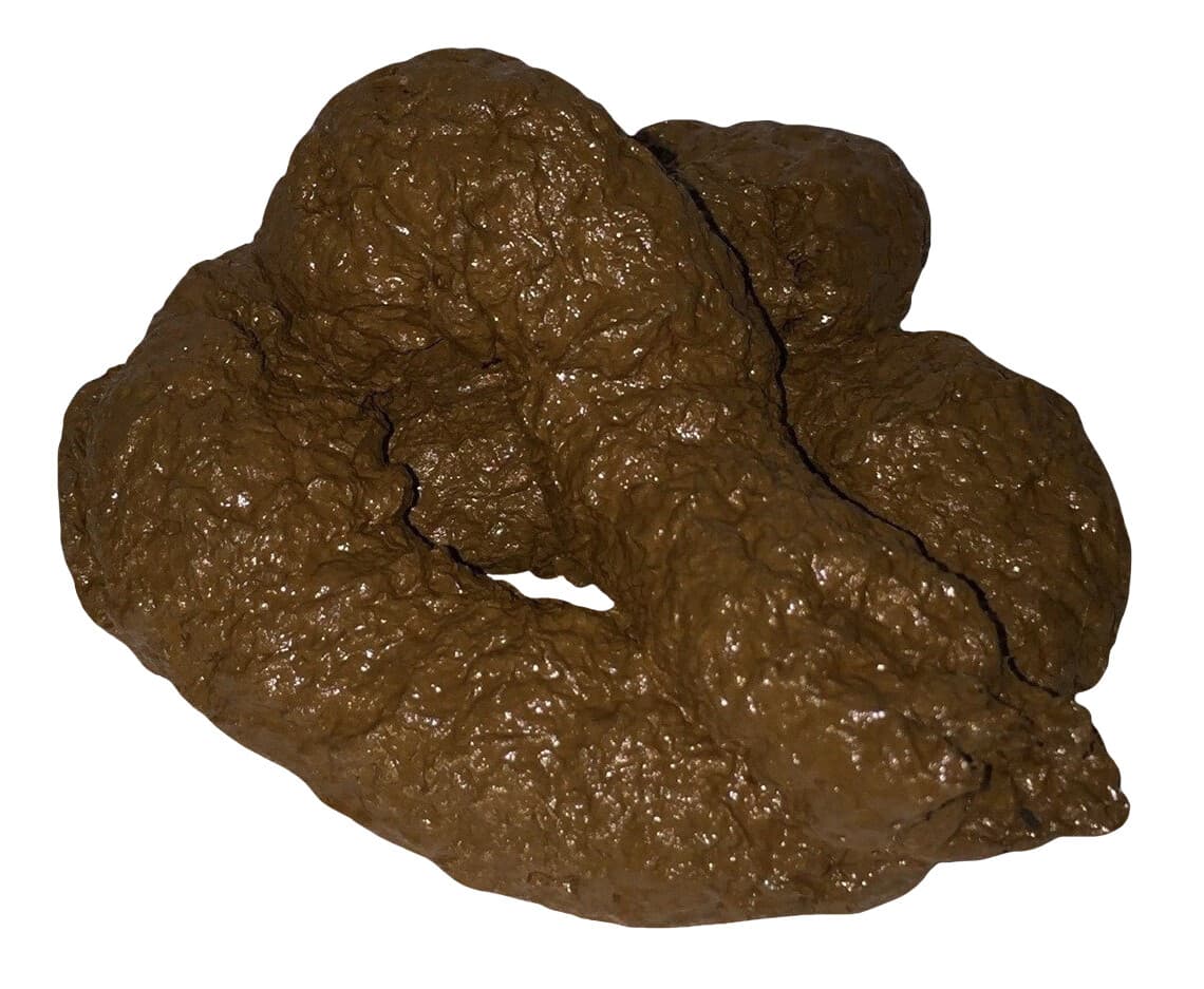 Fake Dog Lucy Poop Doggie Poo Realistic Doggy Doo Doo Dirt Joke Gag Crap Pile