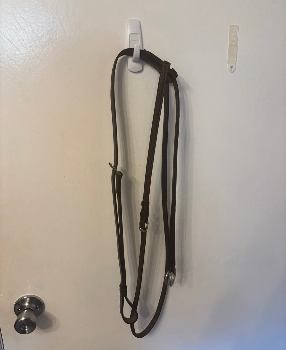 Antares Running Martingale