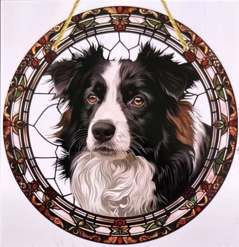BORDER COLLIE SUNCATCHER 8” ACRYLIC DOG PUPPY STAINED GLASS LOOK ART ORNAMENT