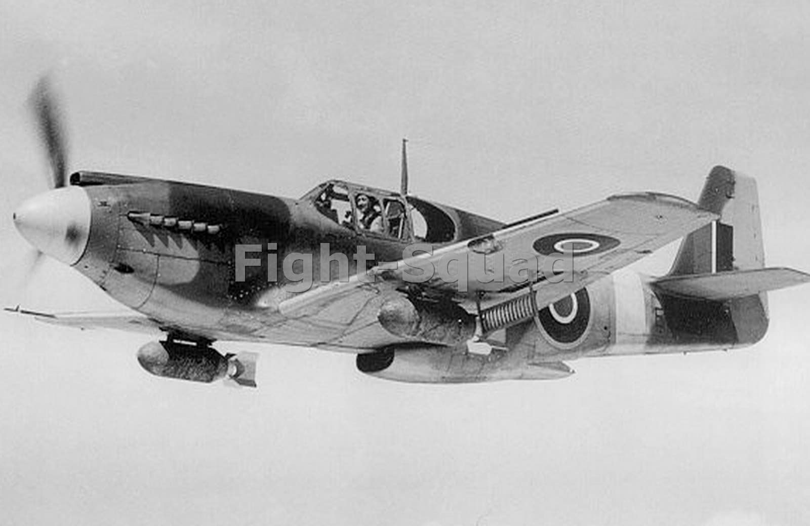 WW2 Picture Photo The only A-36A Apache aircraft of the RAF in flight 1653