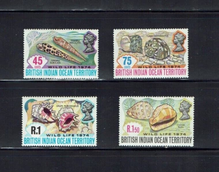 British Indian Ocean Territory: 1974, Wildlife, (2nd series) Shells, MNH set