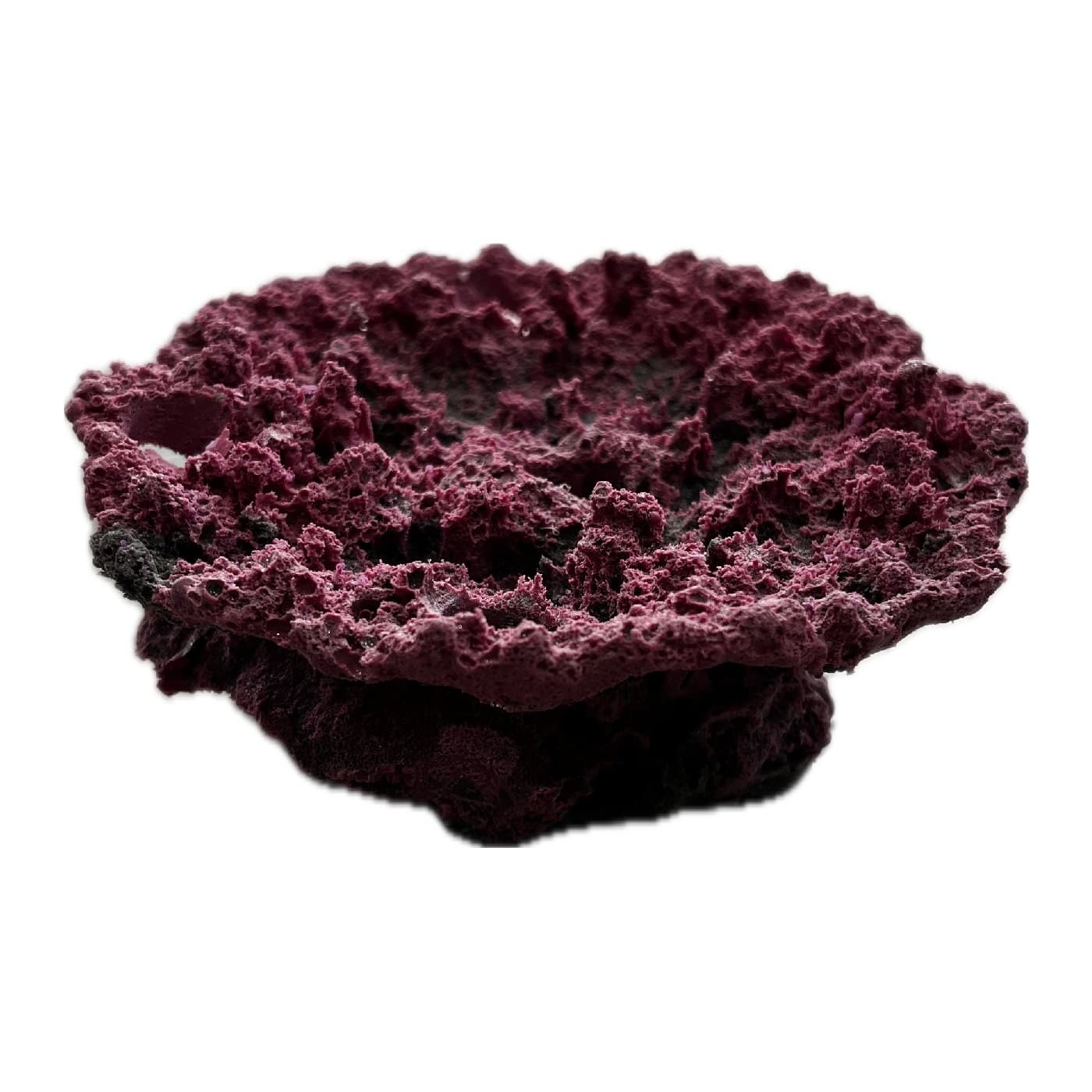 SANDBED 5 Hole Acropora Coral Plate Frag Rack/Rock for Live Coral Plug Ons