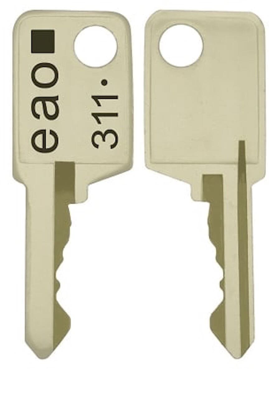 311 keys (2 keys) for EAO Series 99 switch | 31-989.311 keys