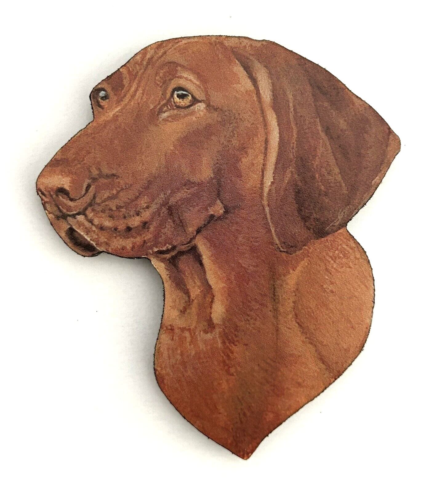 Vizsla Fridge Magnet ~ By Chuck Brown