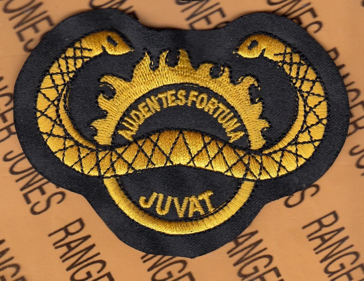 USAF Air Force 80th Fighter Sq FS AUDENTES FORTUNA JUVAT ~3.75" patch c/e
