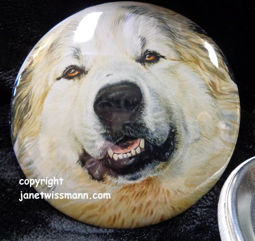 New REFRIGERATOR MAGNET BUTTON PIN Great Pyrenees Sheep Dog painting J. Wissmann