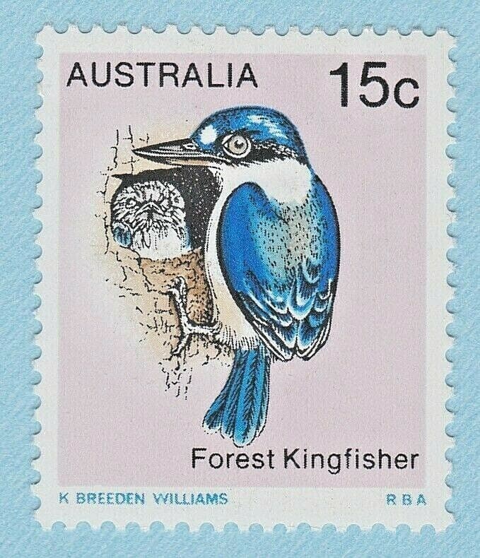 1979 FOREST KINGFISHER STAMP AUSTRALIA BIRDS 1st in SERIES SINGLE UNUSED POSTAGE