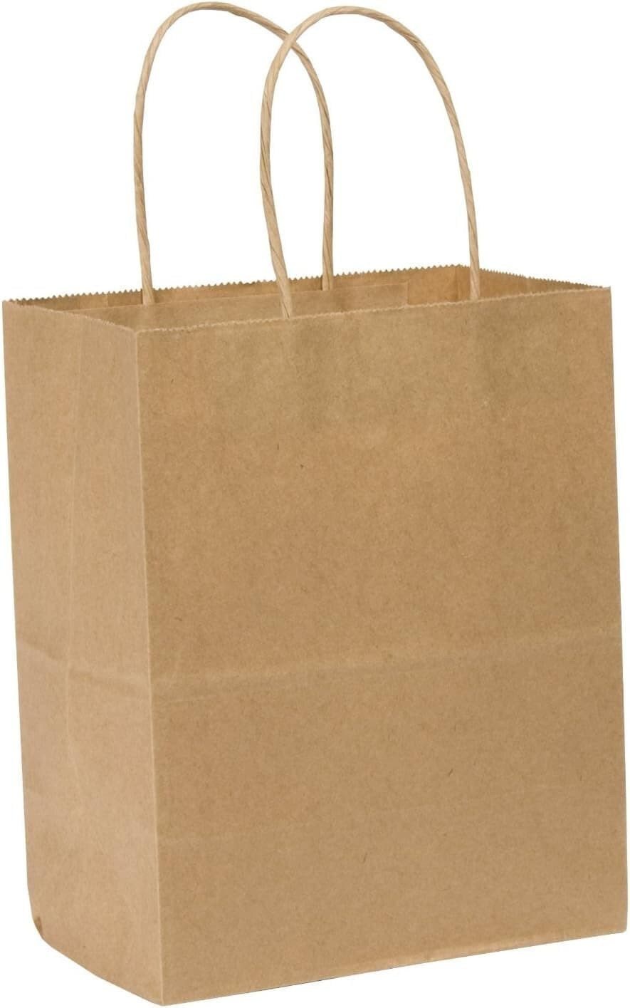 SafePro SEN, 13x7x17-Inch Kraft Paper Shopping Bag with Handles, 250/CS