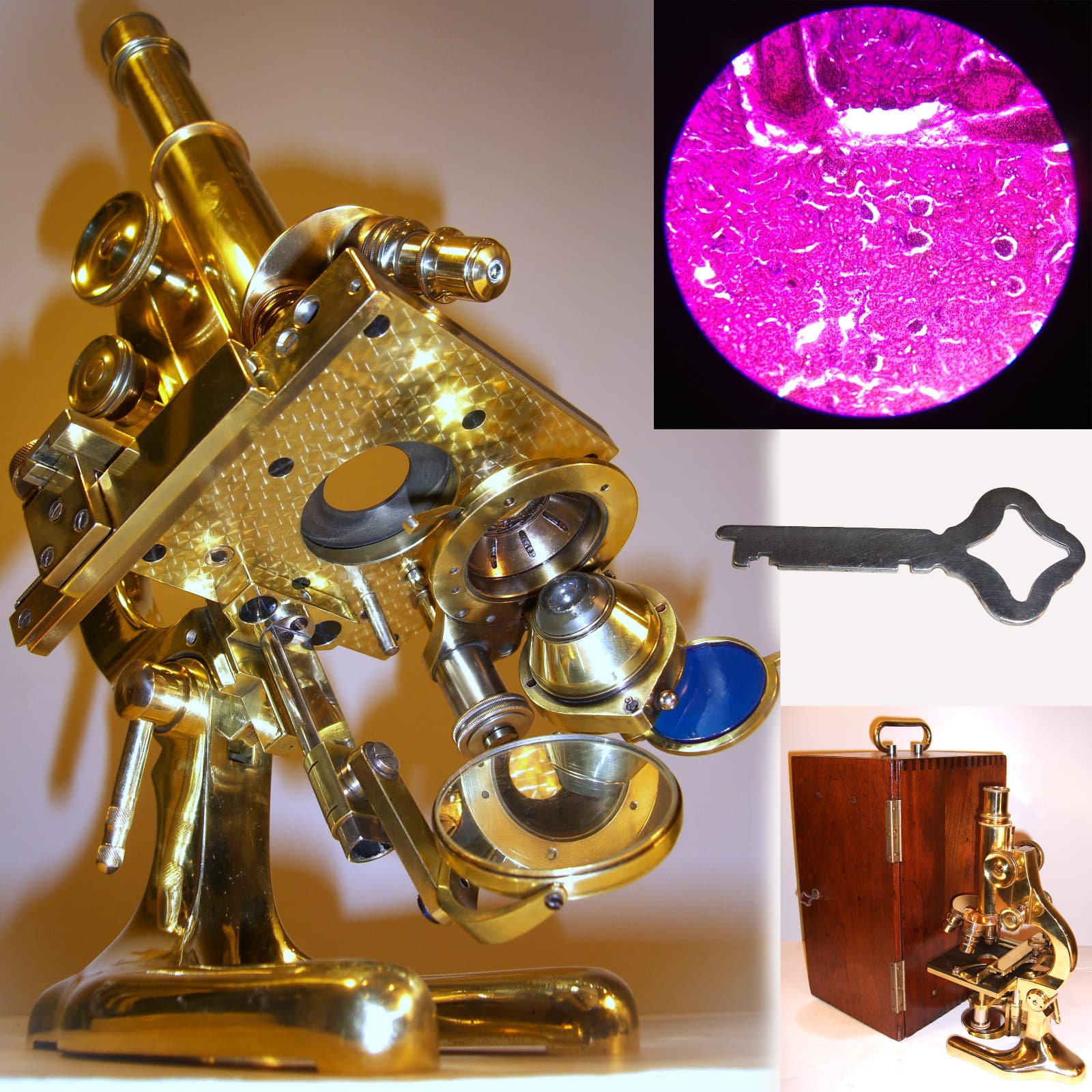 1904 Ernst Leitz Wetzlar Antique Vintage Microscope 121 years old Medical Dental
