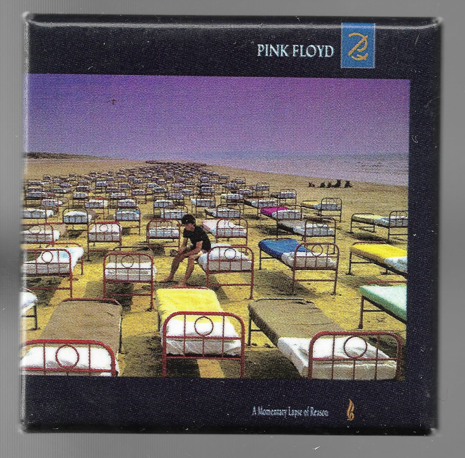 A Momentary Lapse Of Reason Pin * by Pink Floyd (2017, Pin back)