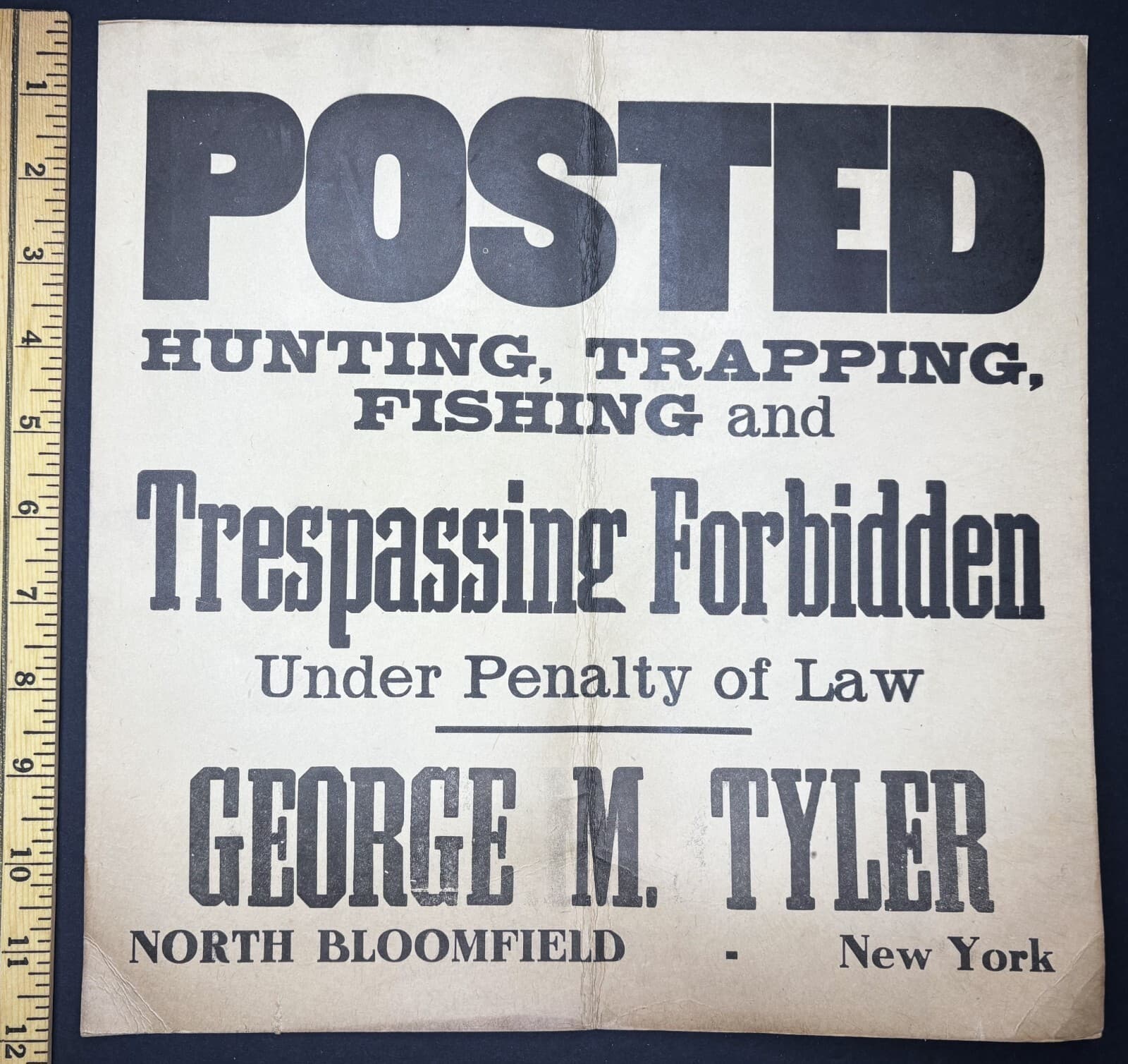 RARE Lg Antique Vintage Orig POSTED Sign 1920 North Bloomfield NY Hunting