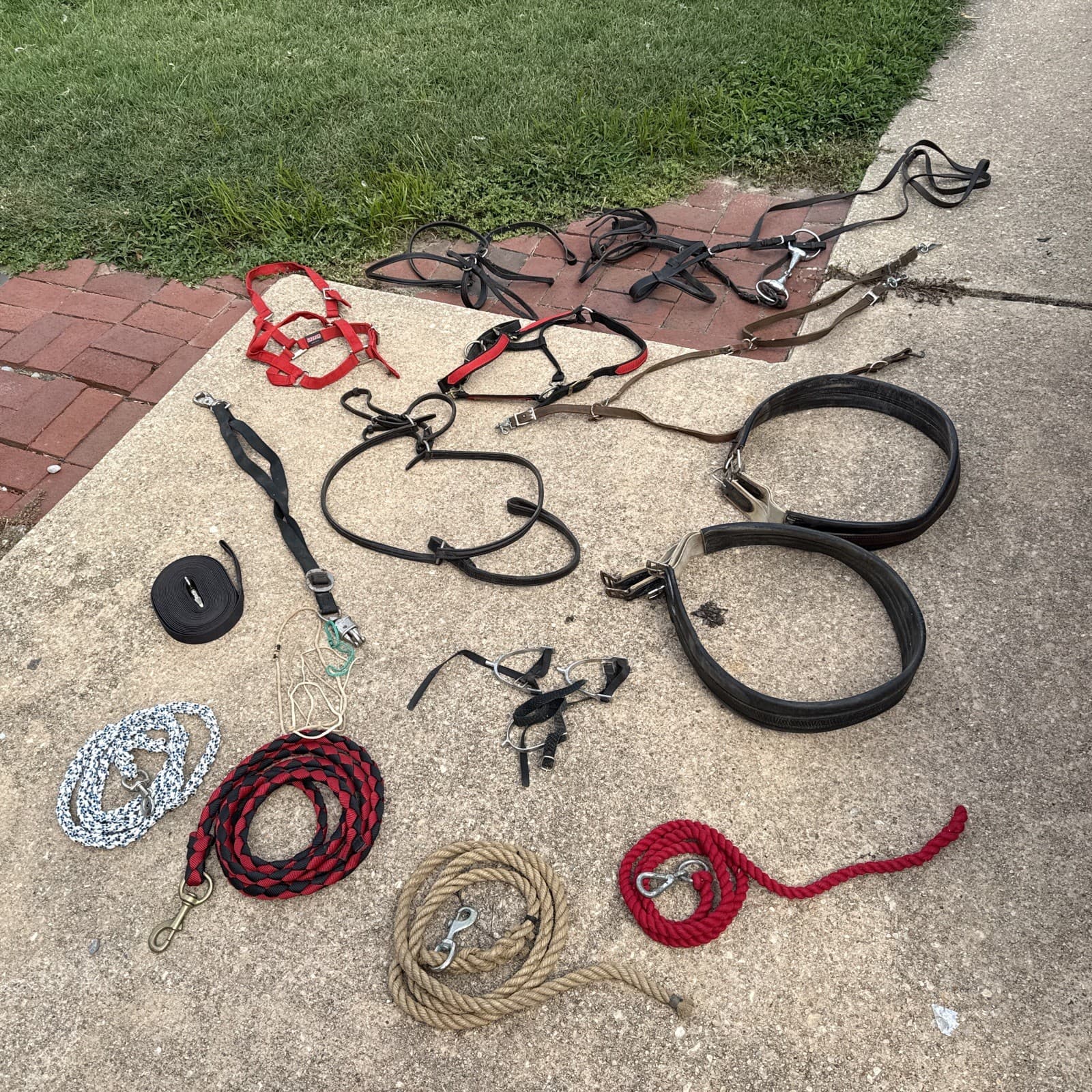 HUGE! Leather Horse Lot Equestrian Heavy Lead Ropes Halters Brass Nylon