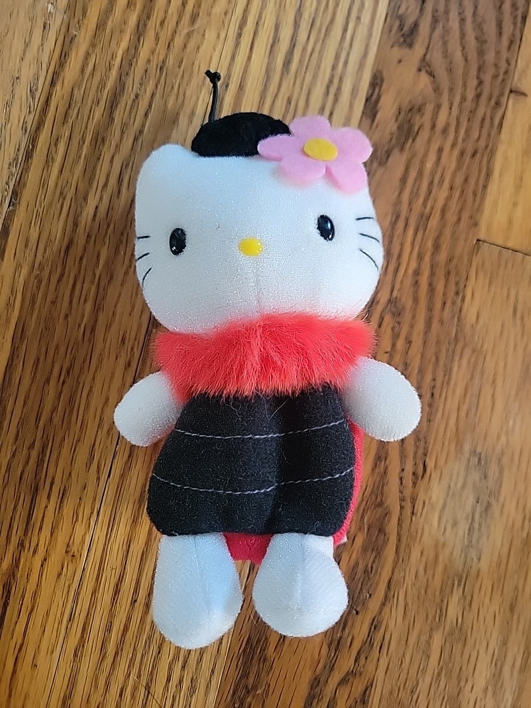 Hello Kitty Pocchaco Beanie Plush Sanrio Smiles Ladybug 2000?
