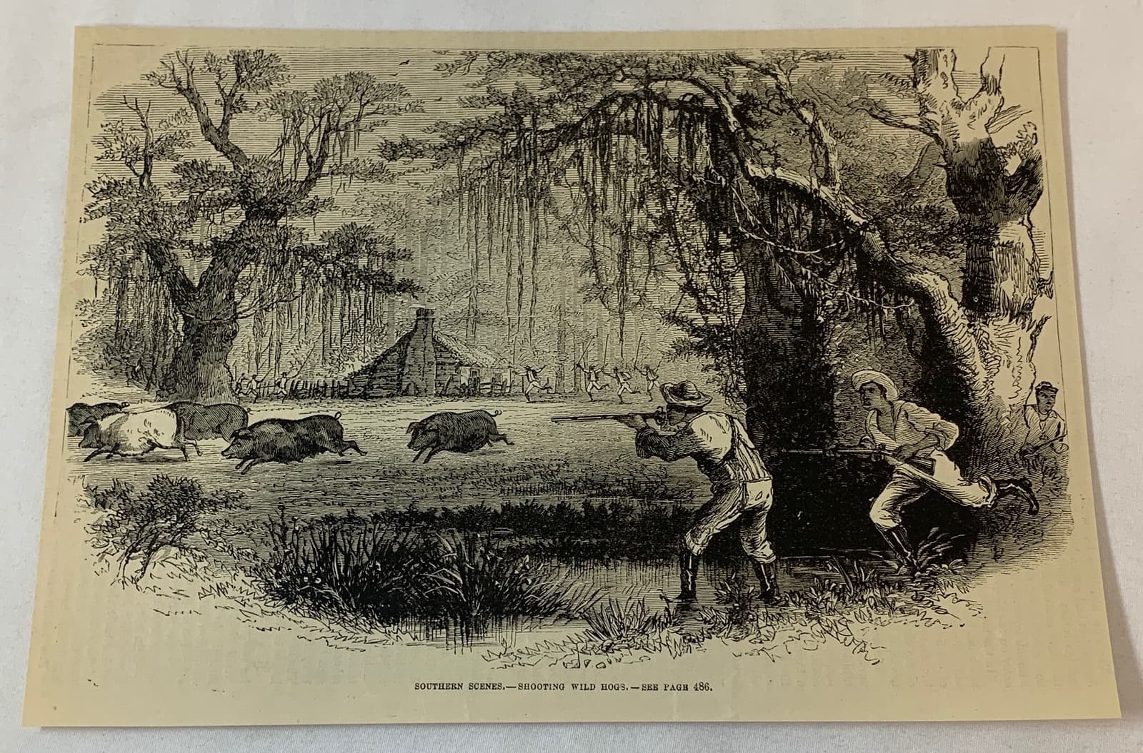 1876 magazine engraving ~ AFRICAN AMERICAN SHOOTING WILD HOGS