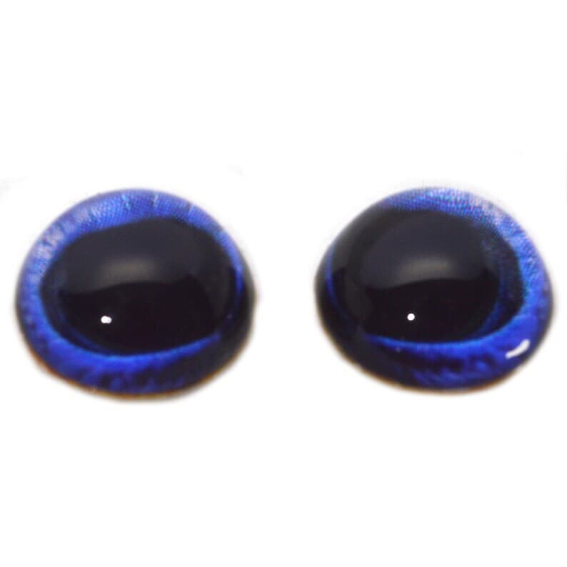 Pair High Dome Blue Toucan Bird Half Sphere Glass Eyes Taxidermy Jewelry
