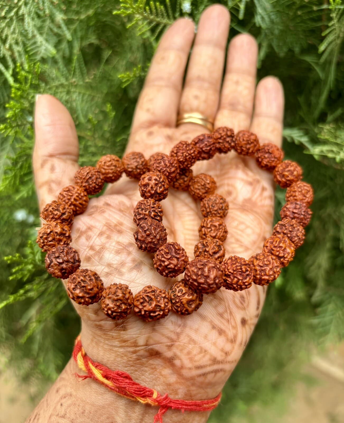 2 Pc Natural RUDRAKSHA 5 mukhi Rudraksh Bracelet Adjustable Unisex, 9-10 mm Size