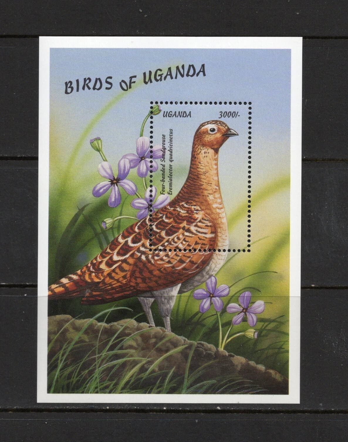 S0236 Uganda 1999 birds Sandgrouse SHEET MNH