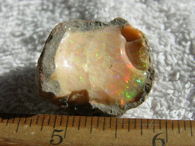 Opal Ethiopian chocolate specimen in matrix nut w/multicolor precious fire CF50