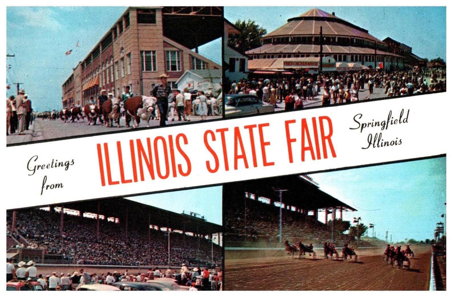 SPRINGFIELD IL 1950s “Greetings from Illinois State Fair" Harness Racing &Track