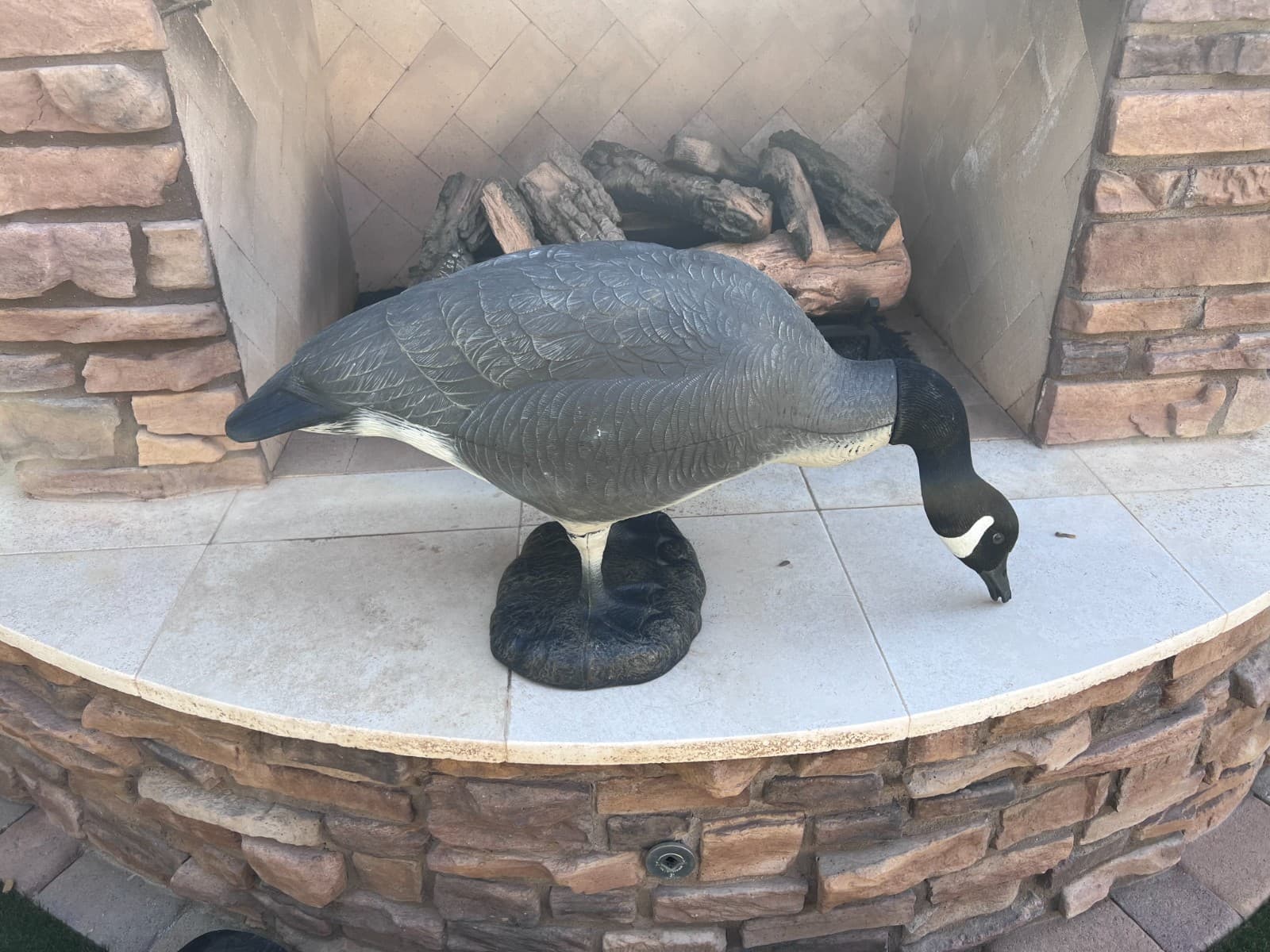 Lot of 4 Judge Full Body Goose Flock Standing Canadian Geese Decoys