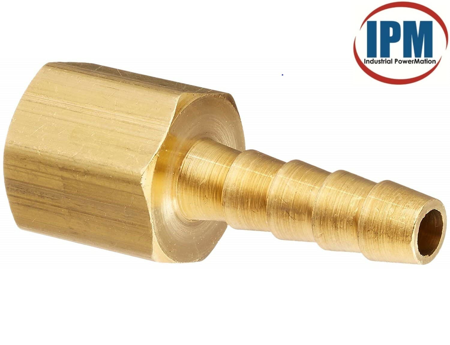 1/8" Hose Barb x 1/8" FEMALE NPT Brass Straight Fitting HB02-FNPT02 (IPM) NEW!
