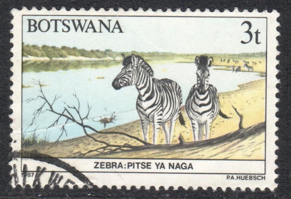 Botswana Stamp Scott 406 Used 3t Zebra Wildlife Conservation
