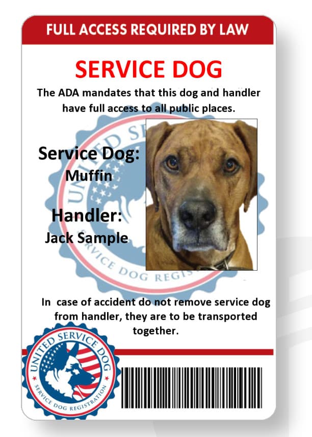 Service dog handler ID card printed in vivid full color mailed out same day
