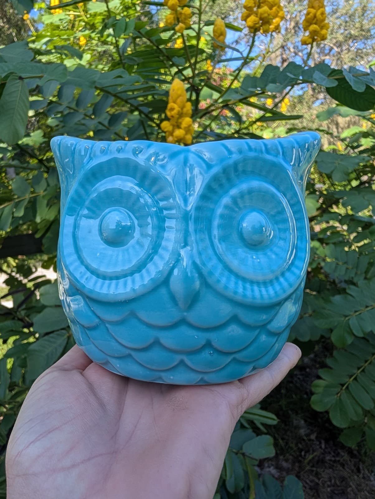 Teal Owl Ceramic Planter Pot Animal Shaped Succulent Flower Pot Halloween Cute