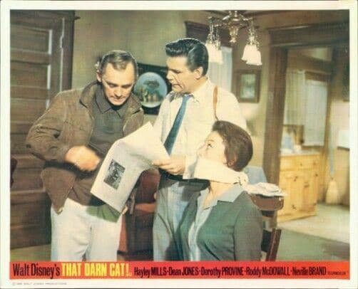 THAT DARN CAT ORIGINAL LOBBY CARDNeville Brand Grayson Hall Frank Gorshin Disney
