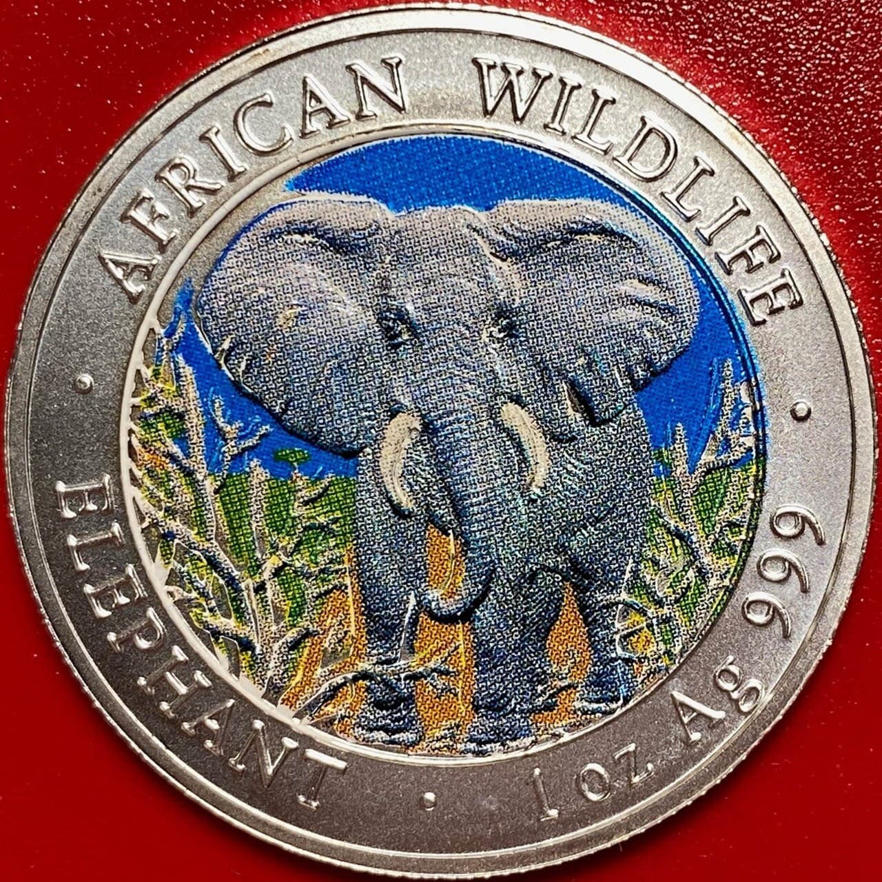 2004 SOMALIA 1000 SHILLINGS 1oz SILVER ELEPHANT COLORIZED AFRICAN WILDLIFE CROWN