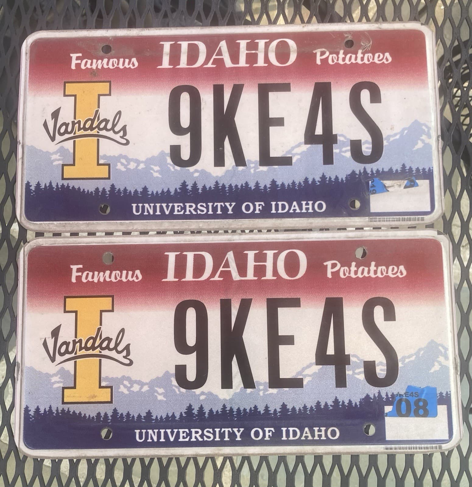 Pair of 2008 Idaho Vandels Vanity License Plates