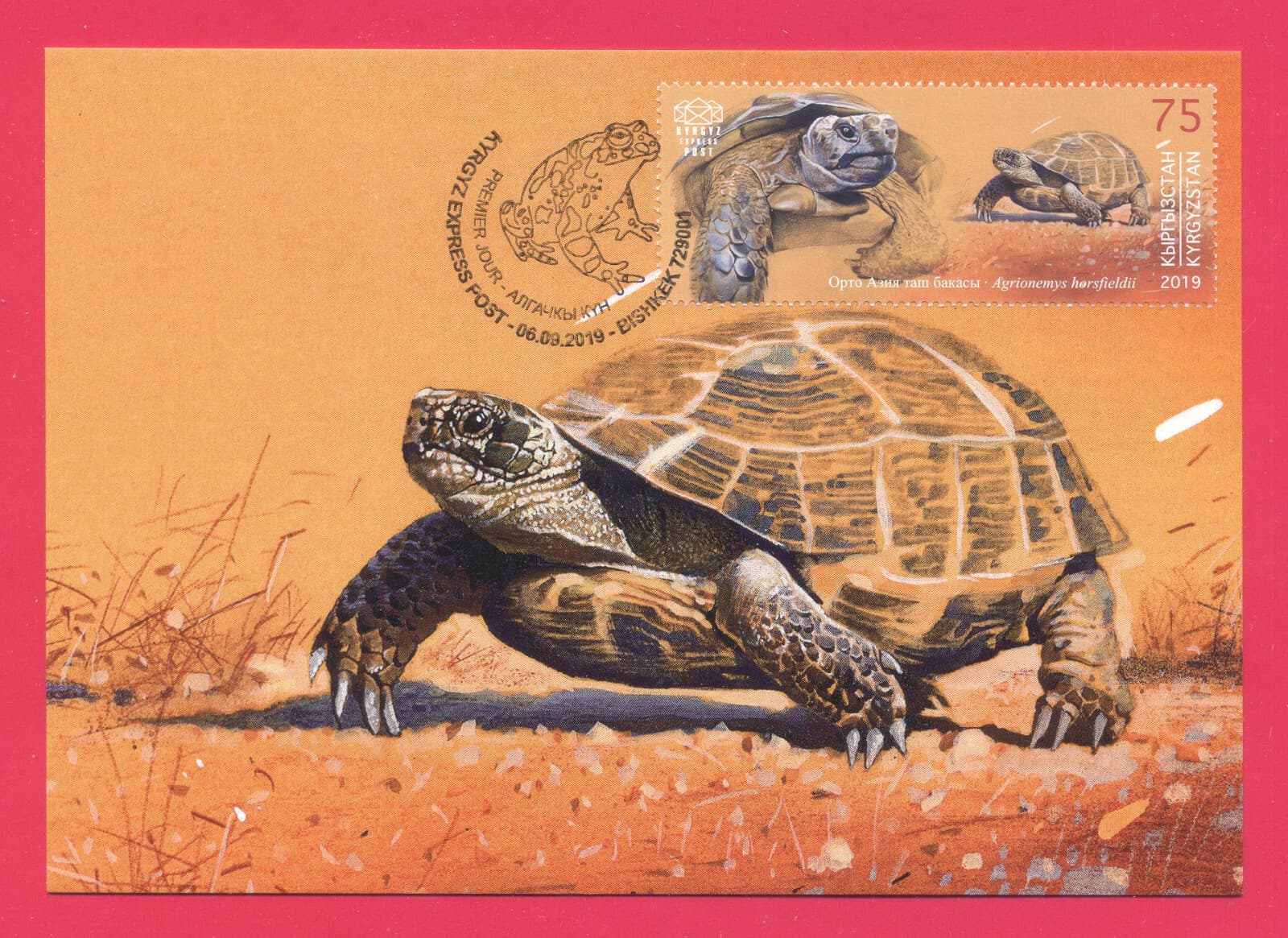 KYRGYZSTAN 2019 Nature Fauna Animals Reptiles Amphibians Turtle Maxicard Card
