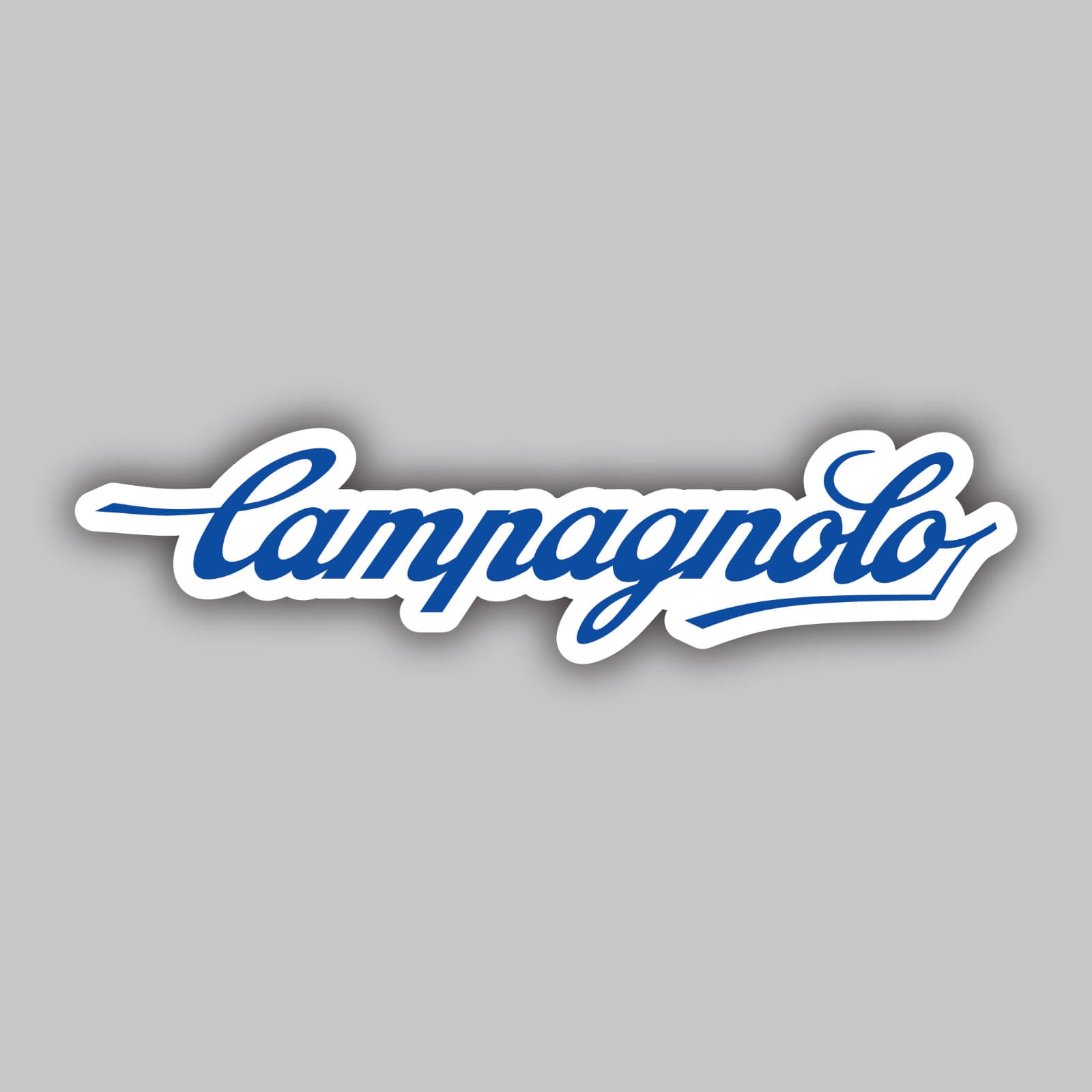 Campagnolo Vinyl Sticker/Decal -Bicycles -Bikes -Gravel -Wheels -Groupsets -Road