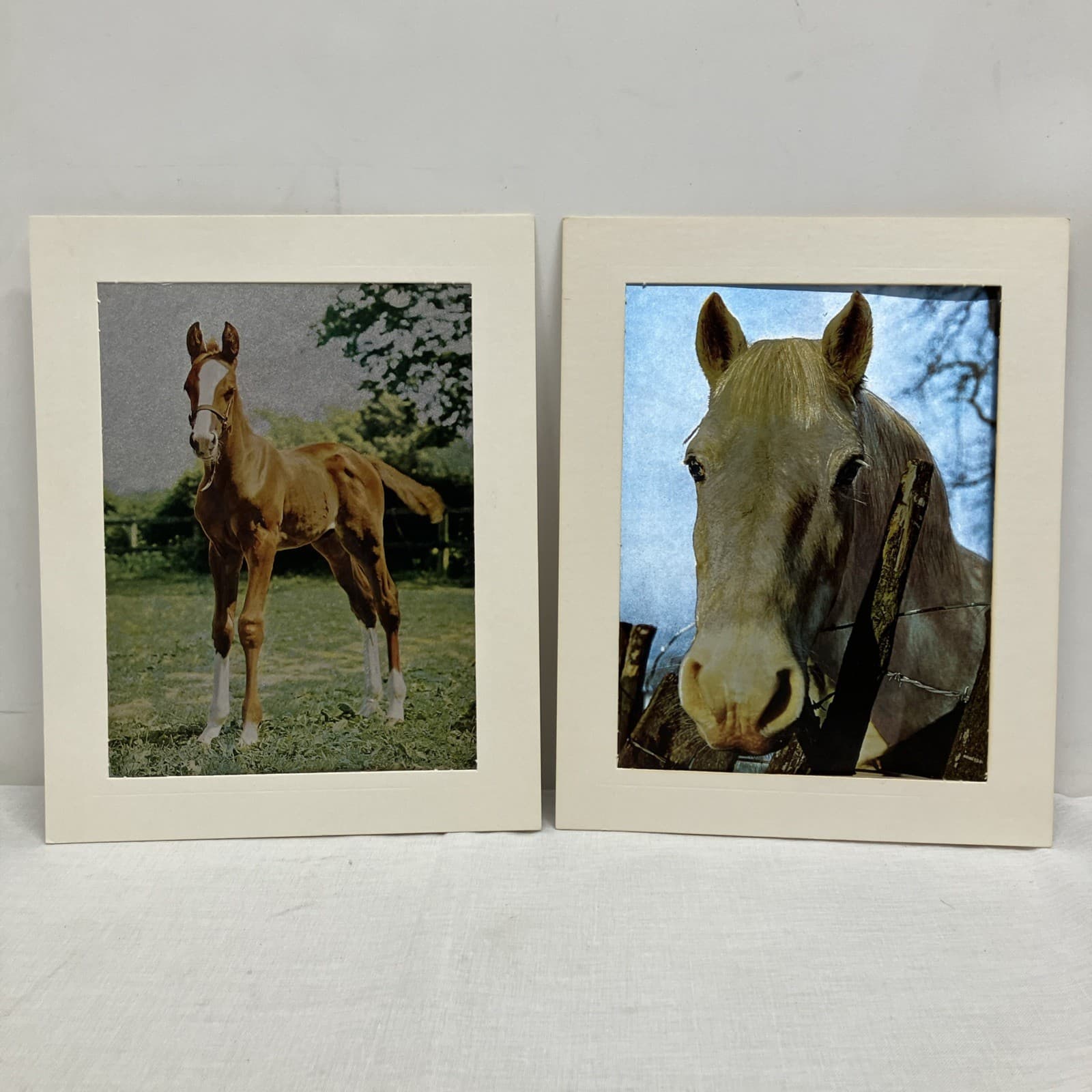 2 Vintage Dufex Foil Prints Horse & Foal 10”x8” Vintage Ponies