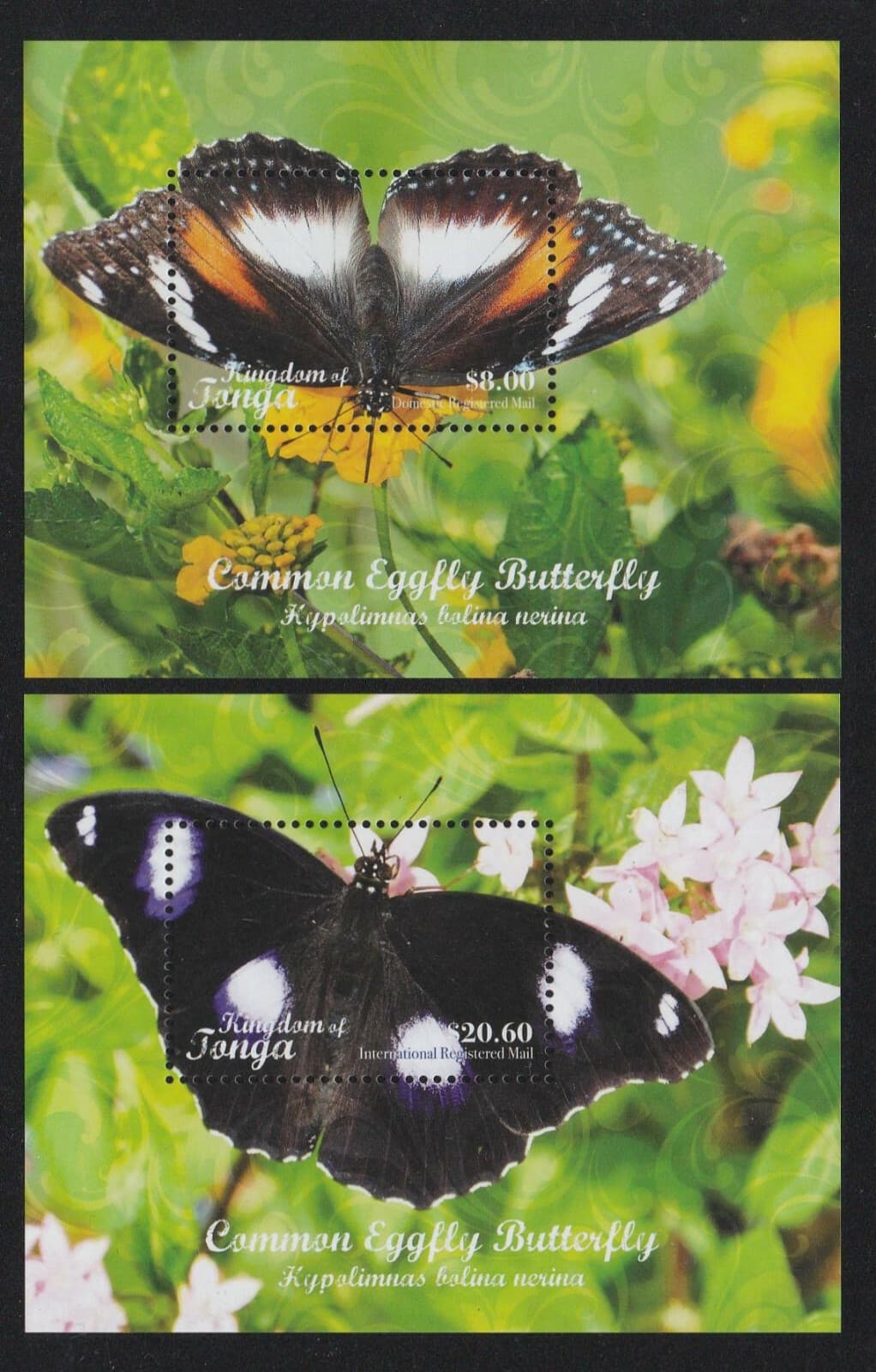 # F1 & F2 Tonga (2018) Butterfly Registered Mail