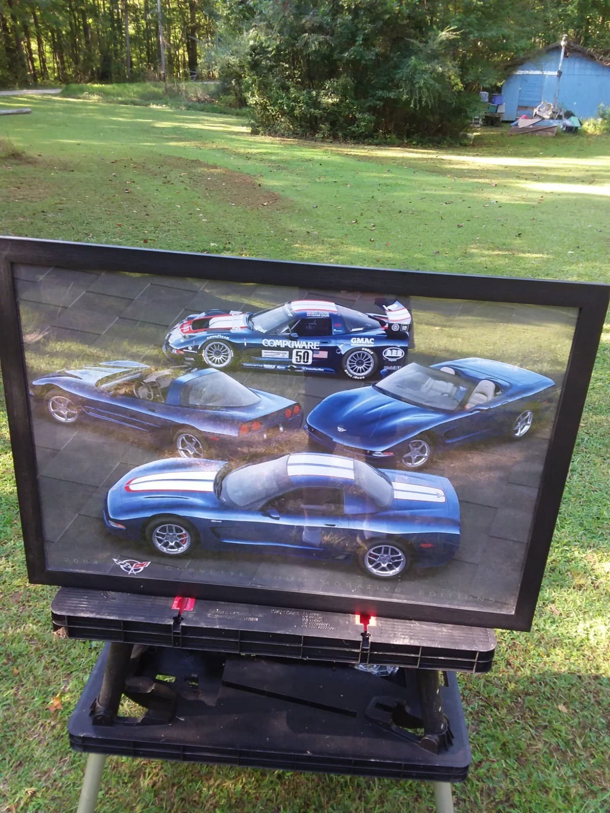 2004 CORVETTE COMMENORATIVE EDITIONS 24" X 36" POSTER-USED-READ