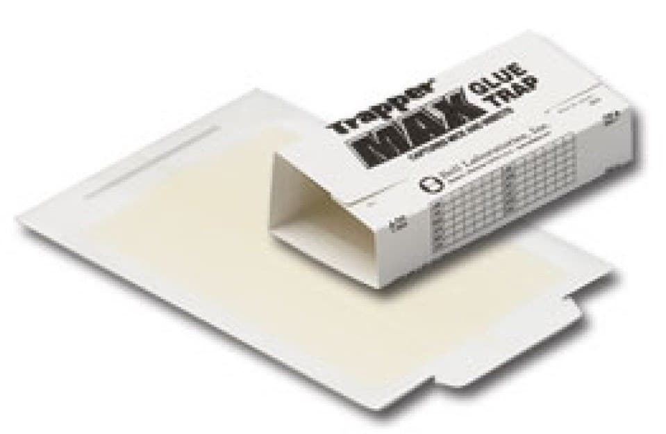 72 Trapper Max Glue Board Traps Control Mouse Mice Insect Spider Lizards etc