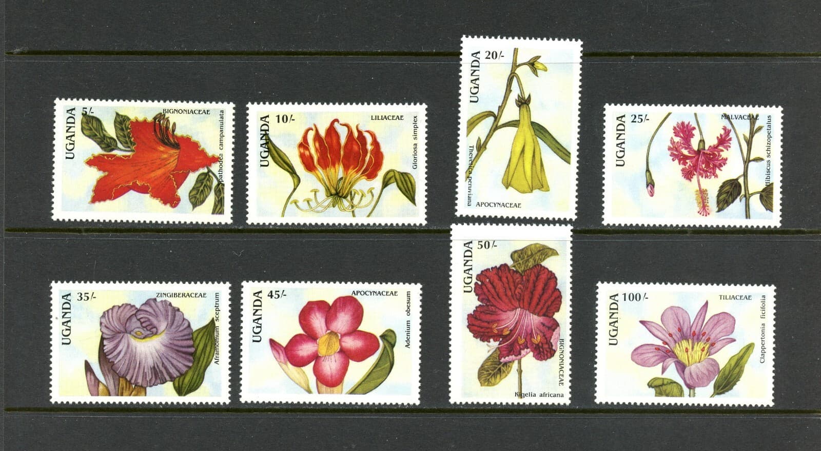 Q901 Uganda 1988 flora flowers 8v. MNH
