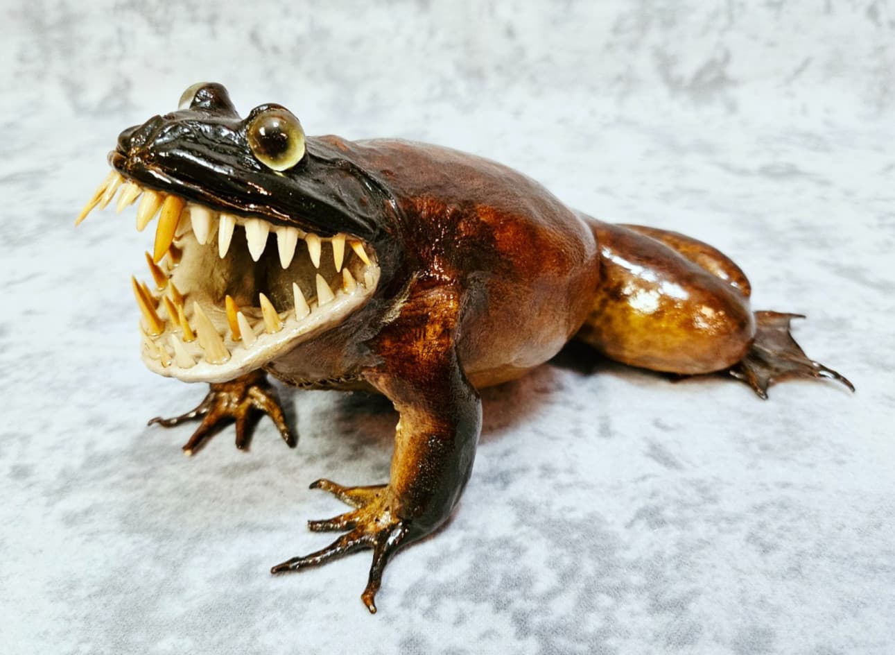 Giant Frog Taxidermy Oddities- bullfrog Cane Toad shark monster