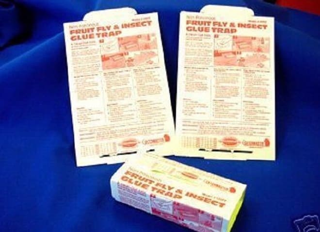 12 Catchmaster Fruit Fly Insect Glue Traps