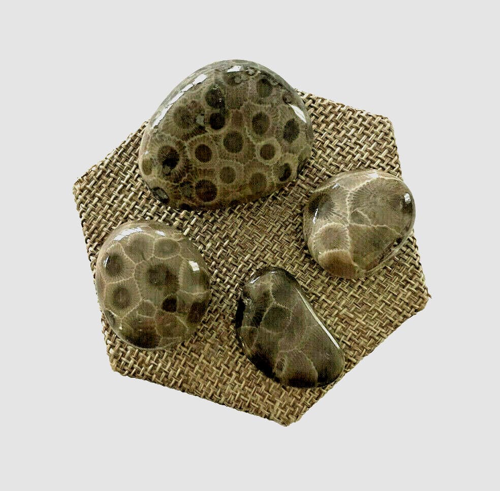 ***GREAT PRICE*** A SET OF 4 PETOSKEY STONES - BELOW RETAIL PLUS FREE SHIPPING!